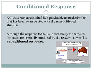 Conditioned Response
 A CR is a response elicited by a previously neutral stimulus
that has become associated with the unconditioned
stimulus.
 Although the response to the CS is essentially the same as
the response originally produced by the UCS, we now call it
a conditioned response.
 