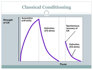 Classical Conditioning
Strength
of CR
Pause
Acquisition
(CS+UCS)
Extinction
(CS alone)
Extinction
(CS alone)
Spontaneous
recovery of
CR
 