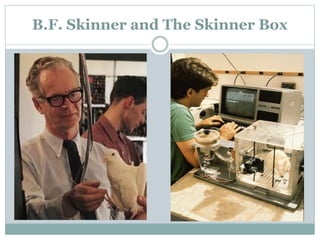 B.F. Skinner and The Skinner Box
 