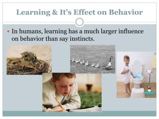 Learning & It’s Effect on Behavior
 In humans, learning has a much larger influence
on behavior than say instincts.
 