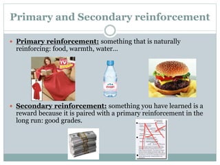 Primary and Secondary reinforcement
 Primary reinforcement: something that is naturally
reinforcing: food, warmth, water…
 Secondary reinforcement: something you have learned is a
reward because it is paired with a primary reinforcement in the
long run: good grades.
 