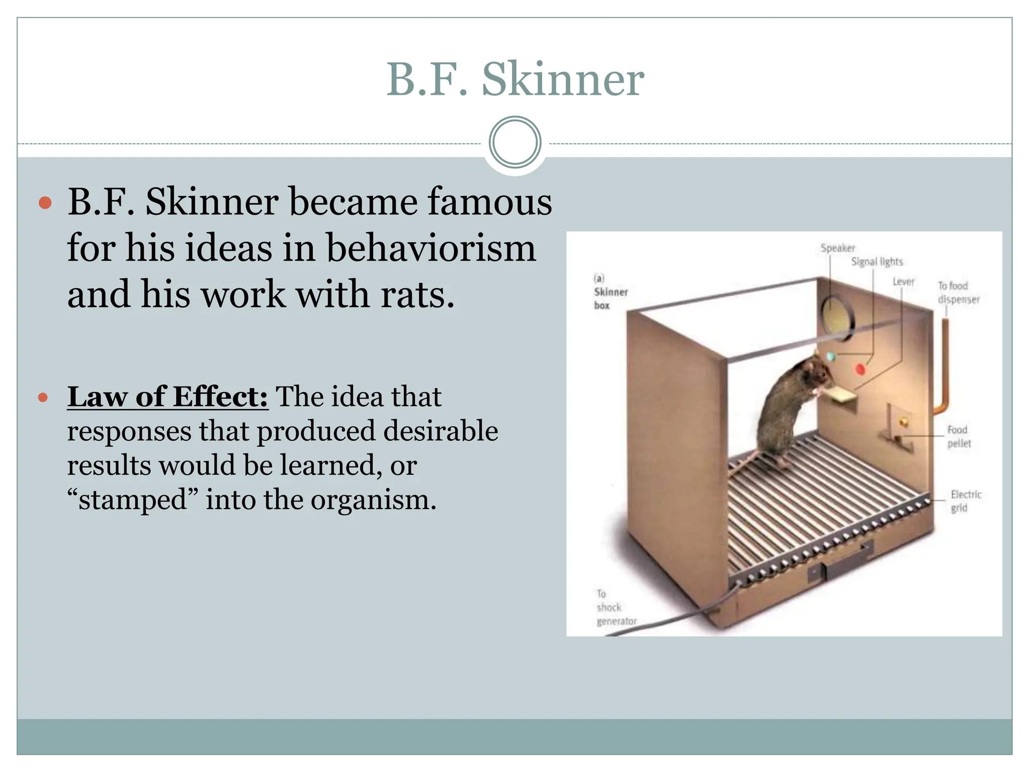 B.F. Skinner
 B.F. Skinner became famous
for his ideas in behaviorism
and his work with rats.
 Law of Effect: The idea that
responses that produced desirable
results would be learned, or
“stamped” into the organism.
 