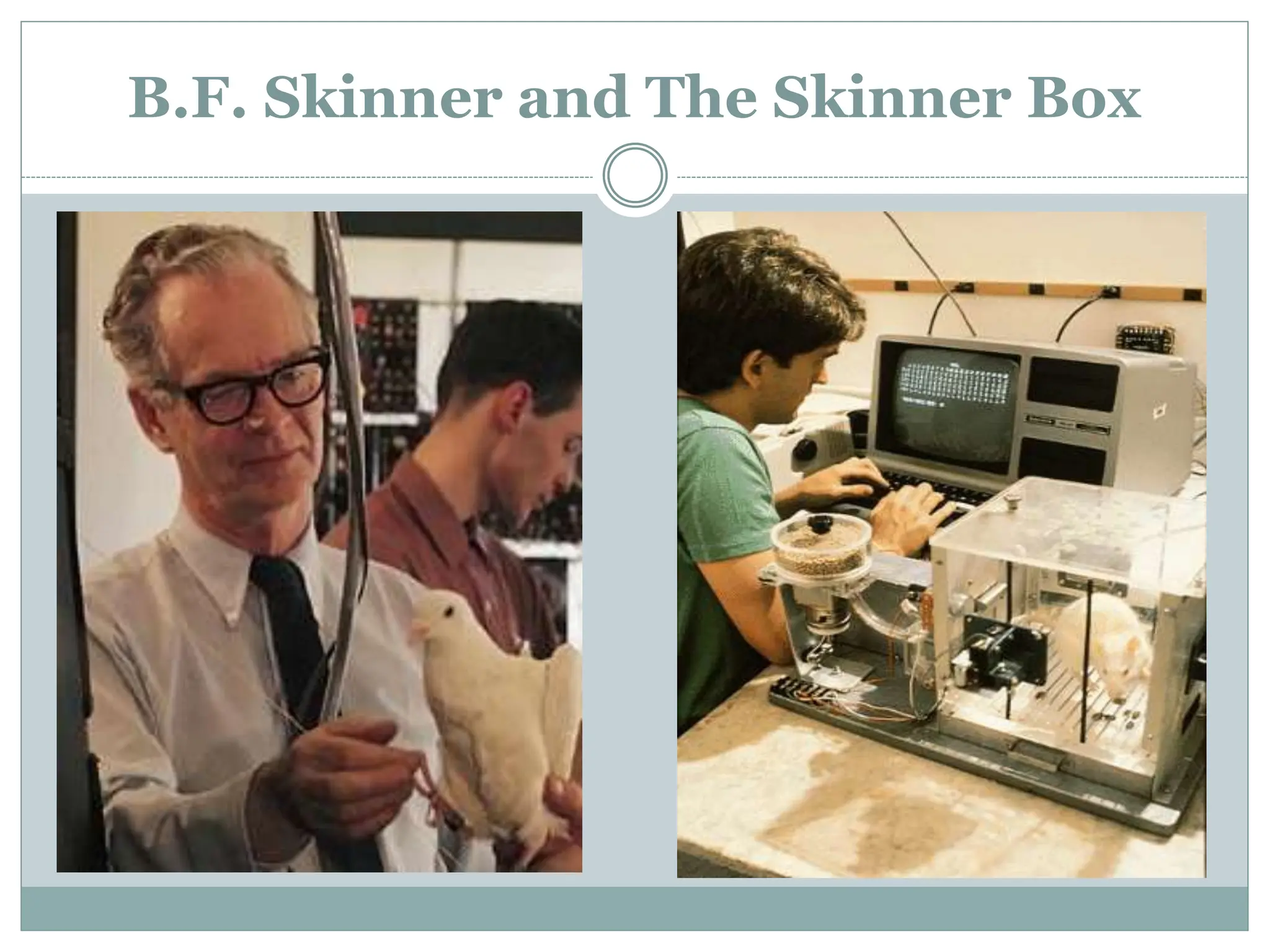 B.F. Skinner and The Skinner Box
 
