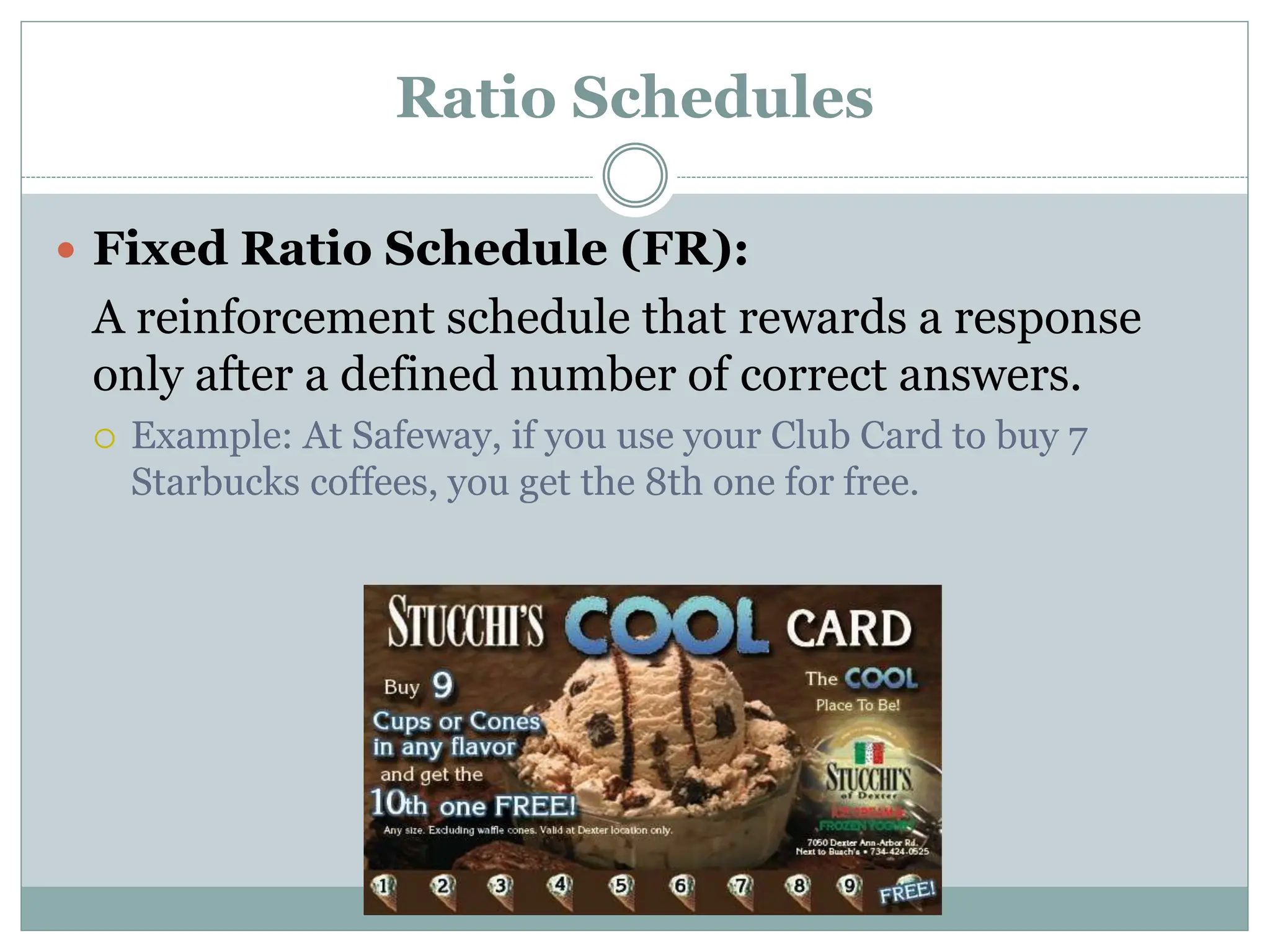 Ratio Schedules
 Fixed Ratio Schedule (FR):
A reinforcement schedule that rewards a response
only after a defined number of correct answers.
 Example: At Safeway, if you use your Club Card to buy 7
Starbucks coffees, you get the 8th one for free.
 