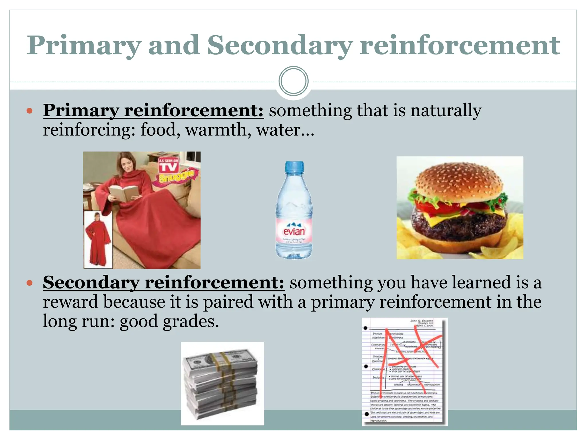 Primary and Secondary reinforcement
 Primary reinforcement: something that is naturally
reinforcing: food, warmth, water…
 Secondary reinforcement: something you have learned is a
reward because it is paired with a primary reinforcement in the
long run: good grades.
 