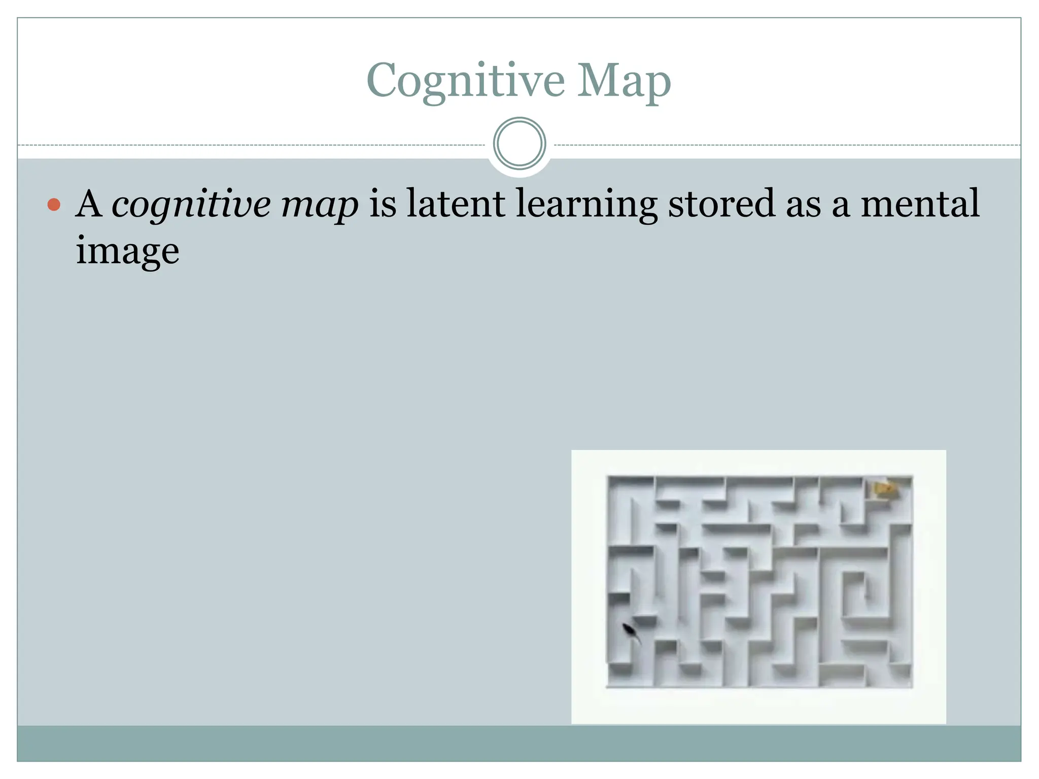 Cognitive Map
 A cognitive map is latent learning stored as a mental
image
 