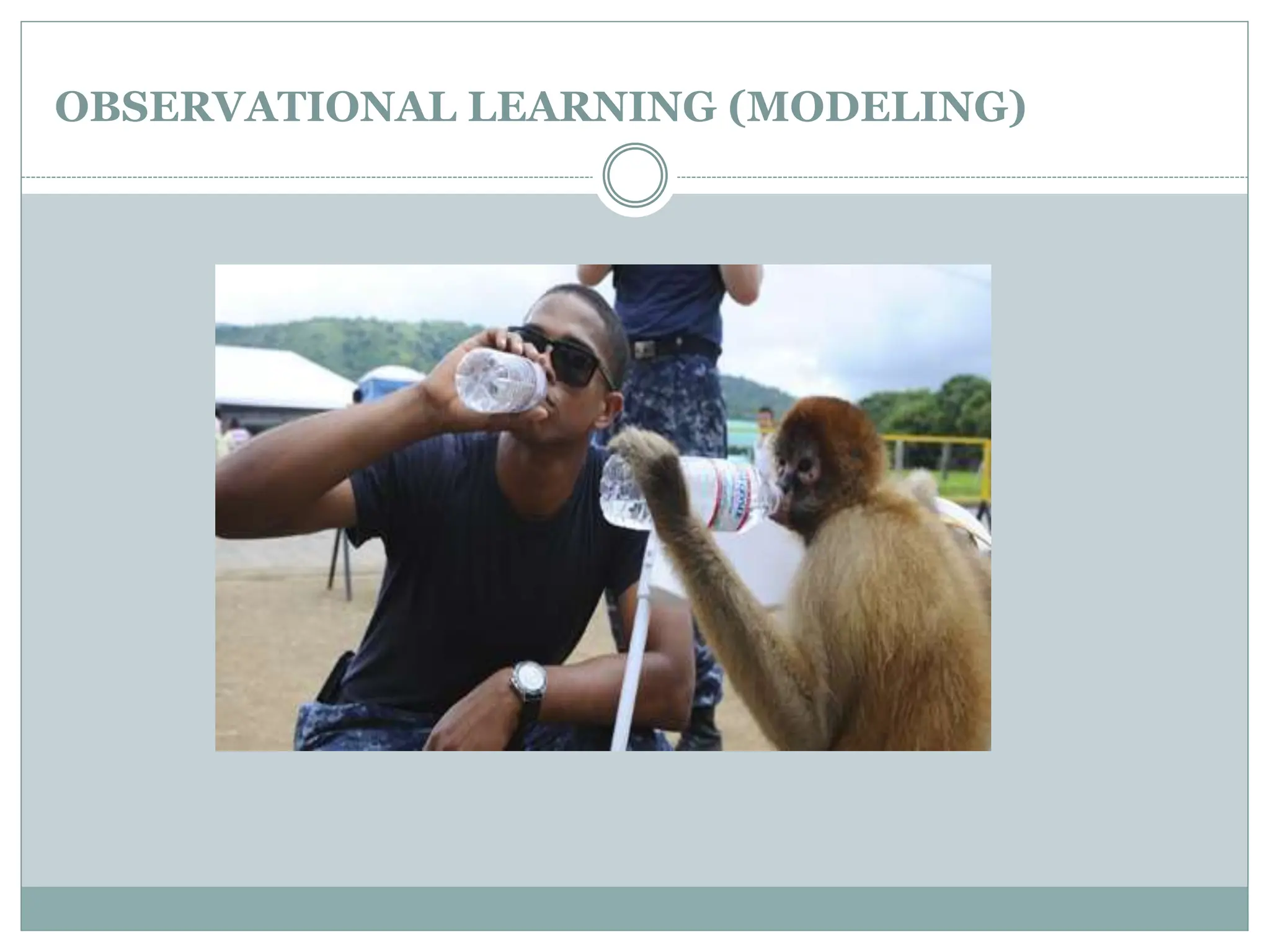 OBSERVATIONAL LEARNING (MODELING)
 