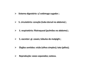 Sistema digestório: c/ estômago sugador ;


S. circulatório: coração (tubo dorsal no abdome) ;


S. respiratório: filotraqueal (pulmões no abdome) ;


S. excretor: gl. coxais; túbulos de malpighi ;


Órgãos sentidos: visão (olhos simples); tato (pêlos);


Reprodução: sexos separados; ooteca.
 