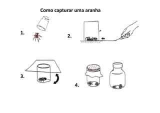 Como capturar uma aranha



1.
               2.




3.
                    4.
 