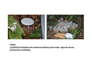 Pitfall:
a) pitfall já instalado com cobertura plástica para evitar água da chuva;
b) amostras recolhidas.
 