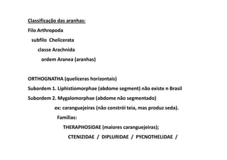 Classificação das aranhas:
Filo Arthropoda
 subfilo Chelicerata
    classe Arachnida
      ordem Aranea (aranhas)


ORTHOGNATHA (quelíceras horizontais)
Subordem 1. Liphistiomorphae (abdome segment) não existe n Brasil
Subordem 2. Mygalomorphae (abdome não segmentado)
            ex: caranguejeiras (não constrói teia, mas produz seda).
             Famílias:
               THERAPHOSIDAE (maiores caranguejeiras);
                  CTENIZIDAE / DIPLURIDAE / PYCNOTHELIDAE /
 