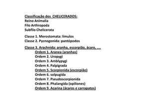 Classificação dos CHELICERADOS:
Reino Animalia
Filo Arthropoda
Subfilo Chelicerata
Classe 1. Merostomata: límulos
Classe 2. Pycnogonida: pantópodos
Classe 3. Arachnida: aranha, escorpião, ácaro, ....
       Ordem 1. Aranea (aranhas)
       Ordem 2. Uropygi
       Ordem 3. Amblypygi
       Ordem 4. Palpigrada
       Ordem 5. Scorpionida (escorpião)
       Ordem 6. solpugida
       Ordem 7. Pseudoscorpionida
       Ordem 8. Phalangida (opiliones)
       Ordem 9. Acarina (ácaros e carrapatos)
 