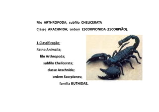 Filo ARTHROPODA; subfilo CHELICERATA
Classe ARACHNIDA; ordem ESCORPIONIDA (ESCORPIÃO).


1.Classificação:
Reino Animalia;
  filo Arthropoda;
    subfilo Chelicerata;
       classe Arachnida;
          ordem Scorpiones;
               família BUTHIDAE.
 