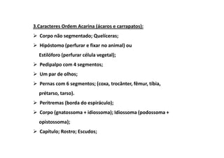 3.Caracteres Ordem Acarina (ácaros e carrapatos):
  Corpo não segmentado; Quelíceras;
  Hipóstomo (perfurar e fixar no animal) ou
  Estilóforo (perfurar célula vegetal);
  Pedipalpo com 4 segmentos;
  Um par de olhos;
  Pernas com 6 segmentos; (coxa, trocânter, fêmur, tíbia,
  prétarso, tarso).
  Peritremas (borda do espiráculo);
  Corpo (gnatossoma + idiossoma); Idiossoma (podossoma +
  opistossoma);
  Capítulo; Rostro; Escudos;
 