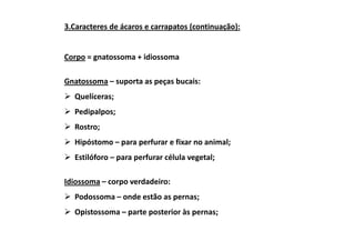 3.Caracteres de ácaros e carrapatos (continuação):


Corpo = gnatossoma + idiossoma

Gnatossoma – suporta as peças bucais:
  Quelíceras;
  Pedipalpos;
  Rostro;
  Hipóstomo – para perfurar e fixar no animal;
  Estilóforo – para perfurar célula vegetal;

Idiossoma – corpo verdadeiro:
  Podossoma – onde estão as pernas;
  Opistossoma – parte posterior às pernas;
 