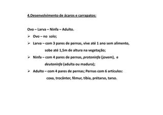 4.Desenvolvimento de ácaros e carrapatos:


Ovo – Larva – Ninfa – Adulto.
   Ovo – no solo;
   Larva – com 3 pares de pernas, vive até 1 ano sem alimento,
          sobe até 1,5m de altura na vegetação;
   Ninfa – com 4 pares de pernas, protoninfa (jovem), e
          deutoninfa (adulta ou madura);
   Adulto – com 4 pares de pernas; Pernas com 6 artículos:
           coxa, trocânter, fêmur, tíbia, prétarso, tarso.
 
