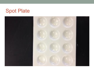 Spot Plate
 