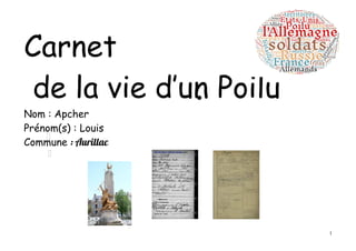 1
Carnet
de la vie d’un Poilu
Nom : Apcher
Prénom(s) : Louis
Commune : Aurillac
 