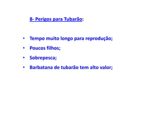8- Perigos para Tubarão:


• Tempo muito longo para reprodução;
• Poucos filhos;
• Sobrepesca;
• Barbatana de tubarão tem alto valor;
 