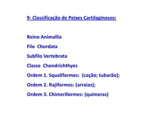 9- Classificação de Peixes Cartilaginosos:


Reino Animallia
Filo Chordata
Subfilo Vertebrata
Classe Chondrichthyes
Ordem 1. Squaliformes: (cação; tubarão);
Ordem 2. Rajiformes: (arraias);
Ordem 3. Chimeriformes: (quimeras)
 