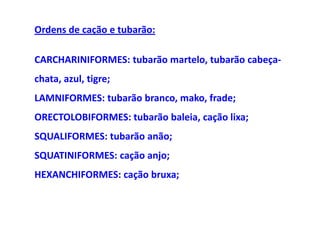 Ordens de cação e tubarão:

CARCHARINIFORMES: tubarão martelo, tubarão cabeça-
chata, azul, tigre;
LAMNIFORMES: tubarão branco, mako, frade;
ORECTOLOBIFORMES: tubarão baleia, cação lixa;
SQUALIFORMES: tubarão anão;
SQUATINIFORMES: cação anjo;
HEXANCHIFORMES: cação bruxa;
 