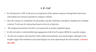 • B cells function as APC in the process of expansion of the immune responses through their interaction
with lymphocytes already responded to antigenic stimulus.
• Once the response is established, B cells produce specific antibodies, and effector lymphocytes including
cytotoxic T cells may be released and return to the site of infection.
• The antigen presentation to B cells is encountered in secondary lymphoid organs.
• B cells activation is initiated following engagement of the B-cell receptor (BCR) by a specific antigen.
• B cells can recognize and respond to both soluble and membrane-associated antigen, although recent
insights suggest that membrane-associated antigens are more important for B-cell activation - Carrasco
YR, 2006
3. B - Cell
23
 