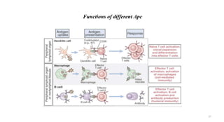 Functions of different Apc
27
 