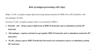 Role of antigen-presenting cells (Apc)
Helper T cells: recognize antigen after processing and presentation by MHC-II on APC (dendritic cells,
macrophages, B cells).
Cytotoxic T cells: recognize antigen when it is presented on MHC-I.
 Dentritic cell : Always express high levels of MHC-II molecules and co-stimulatory activity (B7
molecule)
 Macrophages : requires activation to up-regulate MHC-II molecules and co-stimulatory molecules (B7
molecules)
 B cells : always express MHC-II molecules but needs to be activated to express co-stimulatory activity
(B7 molecule)
30
 