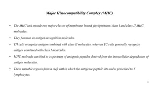 Major Histocompatibility Complex (MHC)
• The MHC loci encode two major classes of membrane-bound glycoproteins: class I and class II MHC
molecules.
• They function as antigen-recognition molecules.
• TH cells recognize antigen combined with class II molecules, whereas TC cells generally recognize
antigen combined with class I molecules.
• MHC molecule can bind to a spectrum of antigenic peptides derived from the intracellular degradation of
antigen molecules.
• These variable regions form a cleft within which the antigenic peptide sits and is presented to T
lymphocytes.
31
 