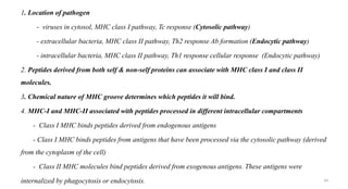 1. Location of pathogen
- viruses in cytosol, MHC class I pathway, Tc response (Cytosolic pathway)
- extracellular bacteria, MHC class II pathway, Th2 response Ab formation (Endocytic pathway)
- intracellular bacteria, MHC class II pathway, Th1 response cellular response (Endocytic pathway)
2. Peptides derived from both self & non-self proteins can associate with MHC class I and class II
molecules.
3. Chemical nature of MHC groove determines which peptides it will bind.
4. MHC-I and MHC-II associated with peptides processed in different intracellular compartments
- Class I MHC binds peptides derived from endogenous antigens
- Class I MHC binds peptides from antigens that have been processed via the cytosolic pathway (derived
from the cytoplasm of the cell)
- Class II MHC molecules bind peptides derived from exogenous antigens. These antigens were
internalized by phagocytosis or endocytosis. 34
 