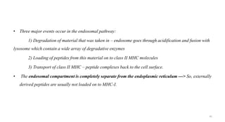 • Three major events occur in the endosomal pathway:
1) Degradation of material that was taken in – endosome goes through acidification and fusion with
lysosome which contain a wide array of degradative enzymes
2) Loading of peptides from this material on to class II MHC molecules
3) Transport of class II MHC – peptide complexes back to the cell surface.
• The endosomal compartment is completely separate from the endoplasmic reticulum ---> So, externally
derived peptides are usually not loaded on to MHC-I.
45
 