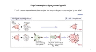Requirement for antigen presenting cells
T cells cannot respond to the free antigen but only to the processed antigen by the APCs
7
 