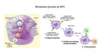 Mechanism of action of APCs
8
 