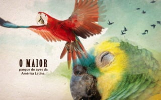 Cardápio Parque das Aves