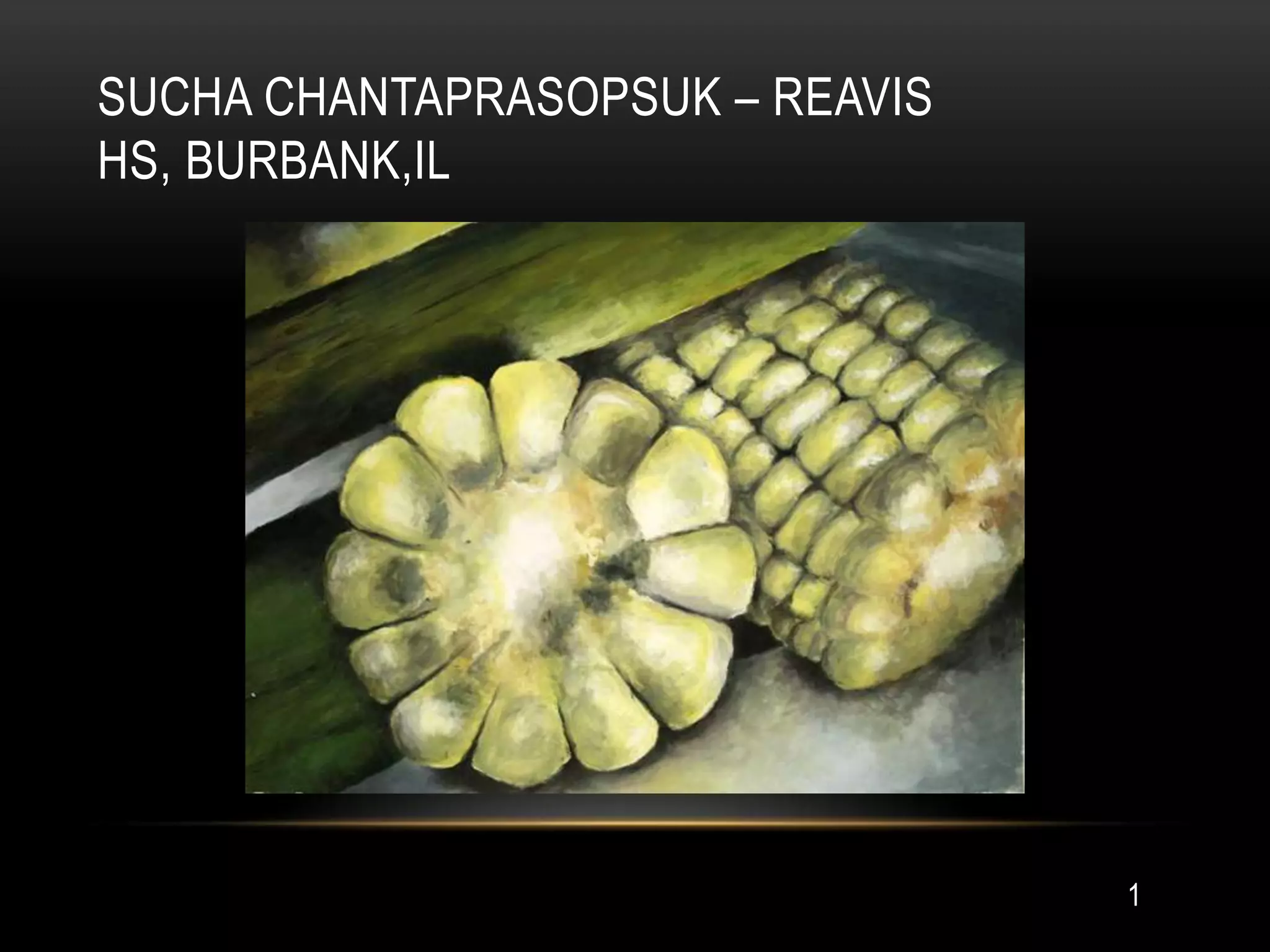 SUCHA CHANTAPRASOPSUK – REAVIS
HS, BURBANK,IL




                                 1
 