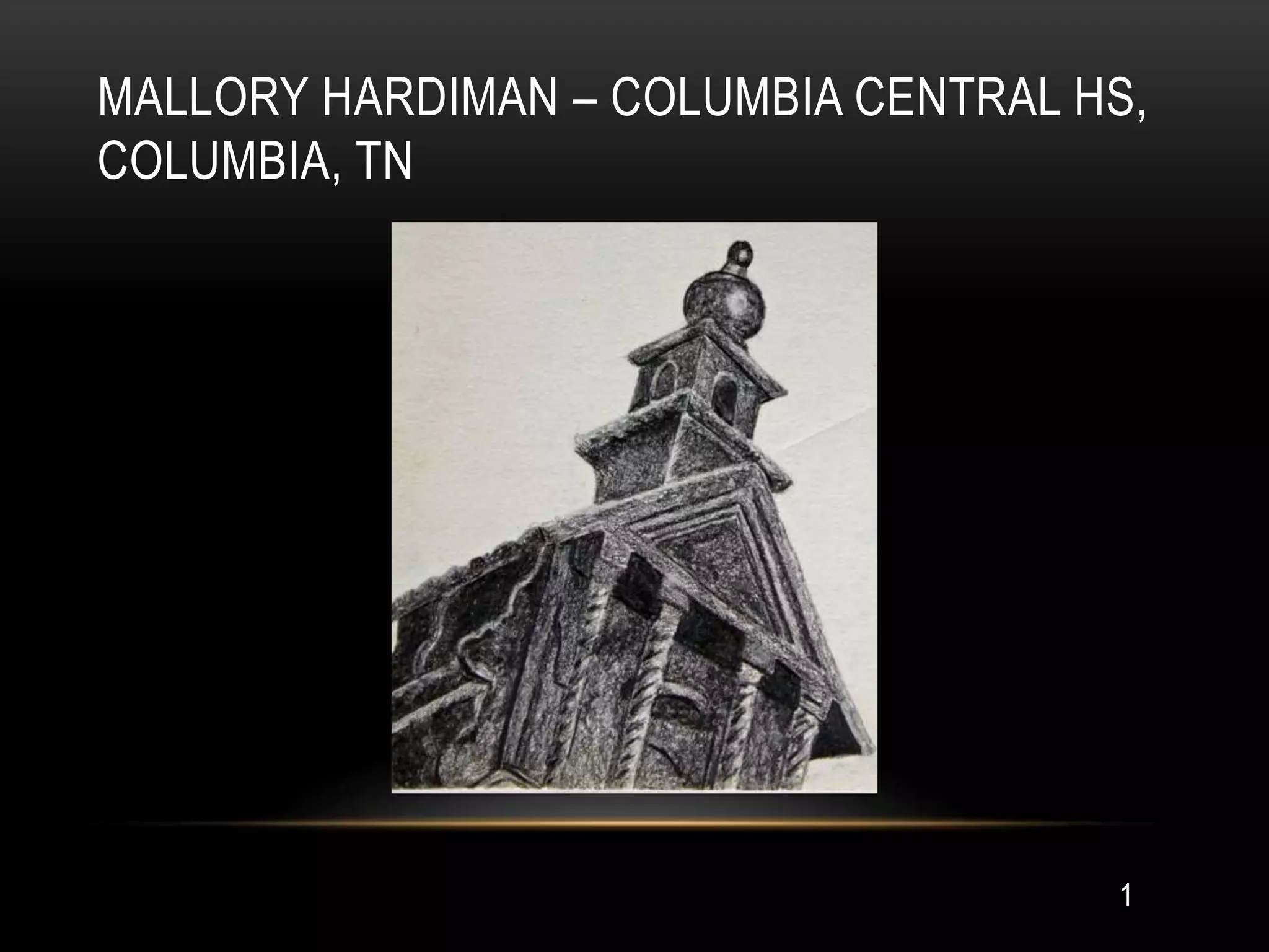 MALLORY HARDIMAN – COLUMBIA CENTRAL HS,
COLUMBIA, TN




                                     1
 
