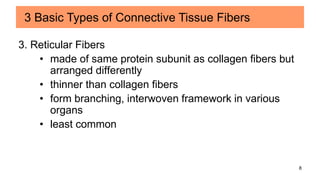 8
3. Reticular Fibers
• made of same protein subunit as collagen fibers but
arranged differently
• thinner than collagen fibers
• form branching, interwoven framework in various
organs
• least common
3 Basic Types of Connective Tissue Fibers
 