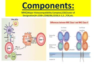 Components:
MHC(Major Histocompatibility Complex),CD(Cluster of
Designation)4+,CD8+,CD80/86,CD28,IL-1,2..,TCR,etc.
 