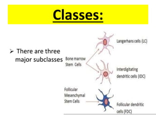 Antigen Presenting cells(APCs) | PPTX