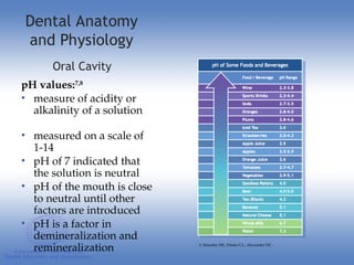 A & P DENTAL.ppt BEST FOR MEDICAL STUDENTS | PPT