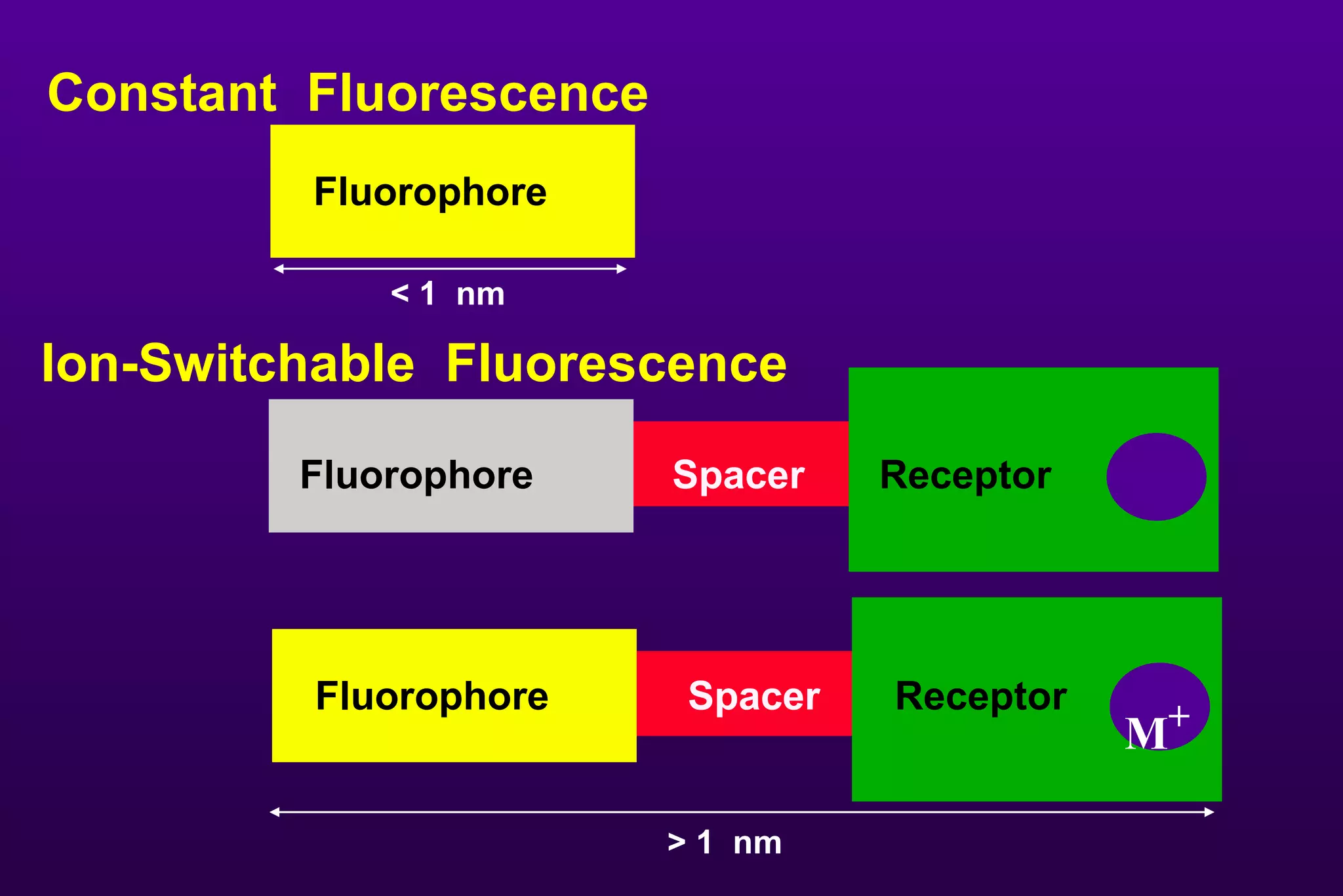 Ion-Switchable  Fluorescence Spacer M + Fluorophore Receptor Constant  Fluorescence Fluorophore Spacer Fluorophore Receptor < 1  nm > 1  nm 