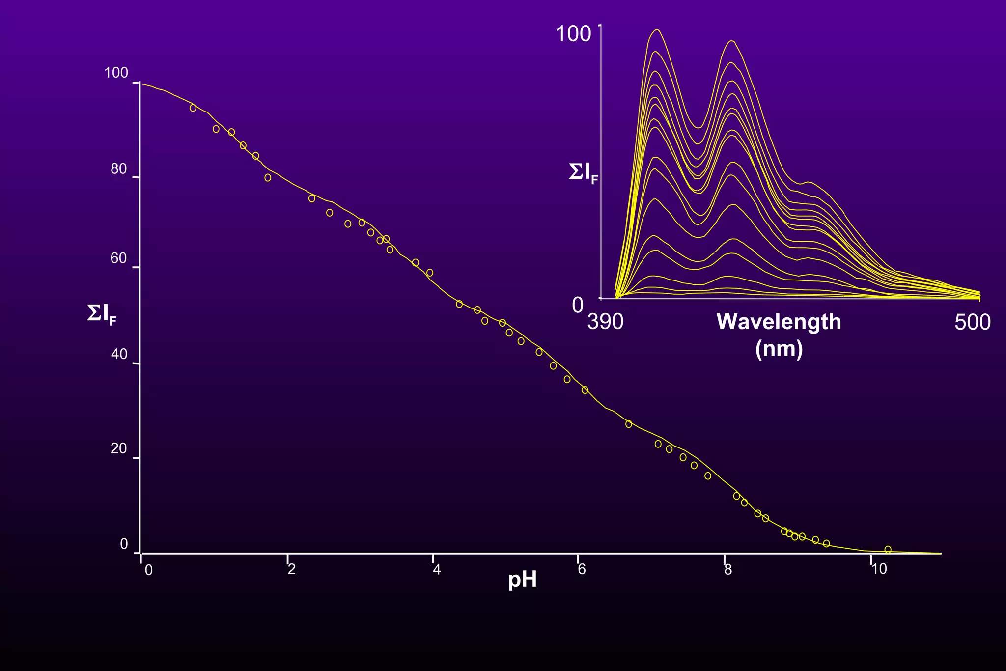 0 4 2 8 6 10 0 20 60 40 100 80  I F pH 390 500 0 Wavelength (nm)  I F 100 