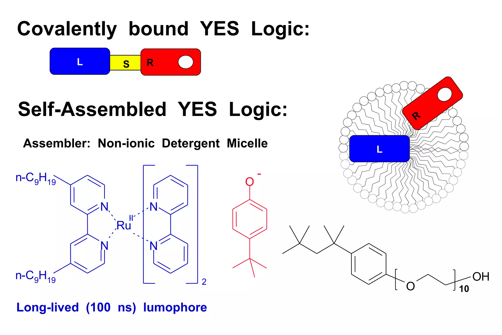 R L S R L Self-Assembled  YES  Logic: Covalently  bound  YES  Logic: Assembler:  Non-ionic  Detergent  Micelle N N 2 N N n - C 9 H 1 9 n - C 9 H 1 9 Ru II O O H 10 O - Long-lived  (100  ns)  lumophore 