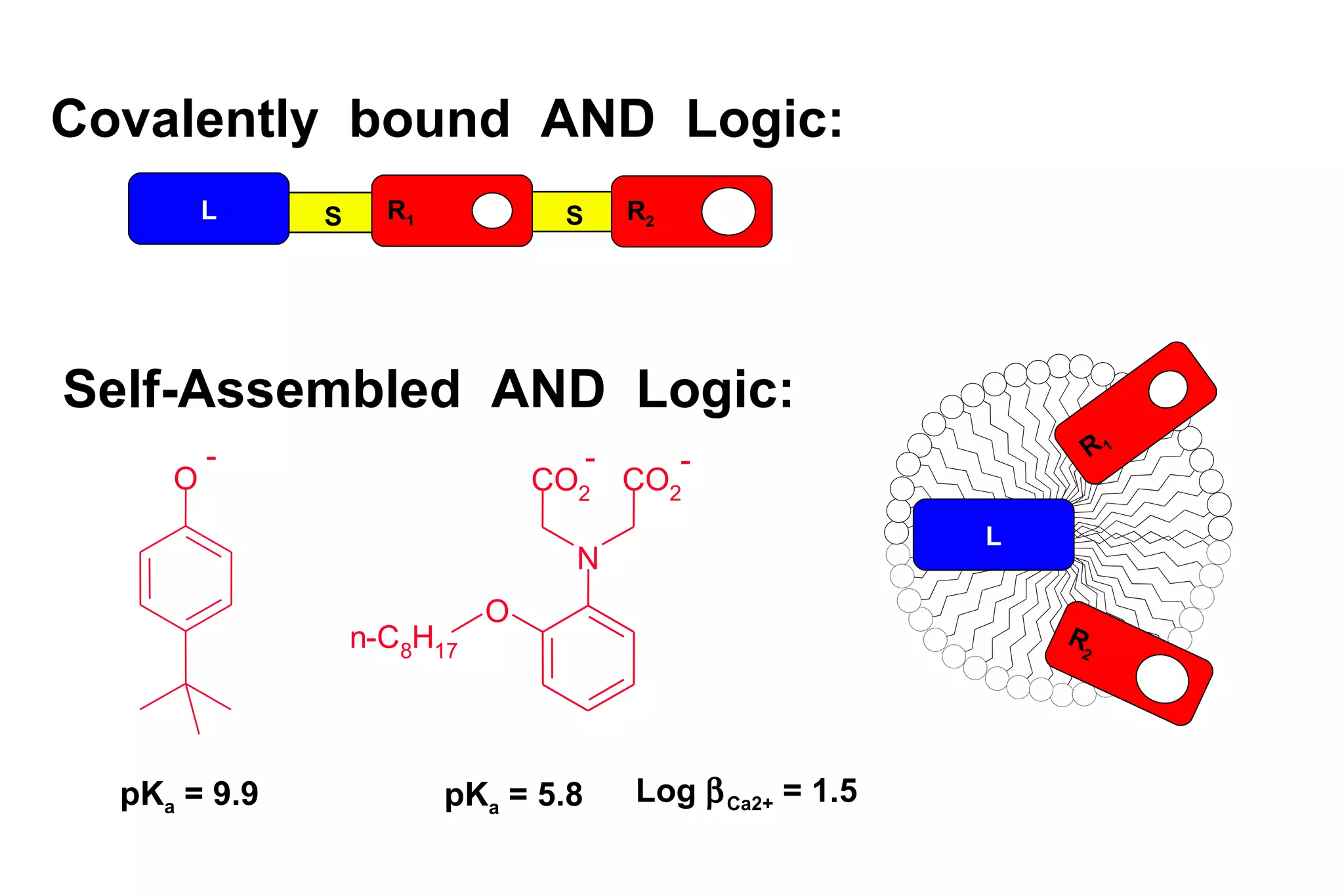 R 1 L R 2 S S R 1 L R 2 Self-Assembled  AND  Logic: Covalently  bound  AND  Logic: O - N C O 2 C O 2 O n - C 8 H 1 7 - - pK a  = 9.9 pK a  = 5.8 Log   Ca2+  = 1.5 