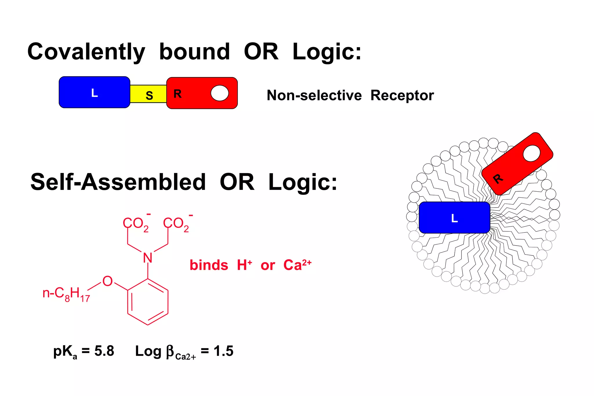 R L S R L Self-Assembled  OR  Logic: Covalently  bound  OR  Logic: Non-selective  Receptor N C O 2 C O 2 O n - C 8 H 1 7 - - binds  H +   or  Ca 2+ pK a  = 5.8 Log   Ca   = 1.5 
