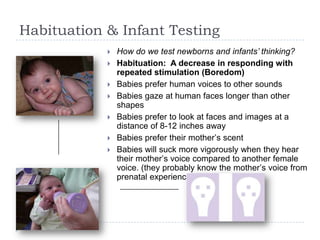 Habituation & Infant Testing
 How do we test newborns and infants’ thinking?
 Habituation: A decrease in responding with
repeated stimulation (Boredom)
 Babies prefer human voices to other sounds
 Babies gaze at human faces longer than other
shapes
 Babies prefer to look at faces and images at a
distance of 8-12 inches away
 Babies prefer their mother‟s scent
 Babies will suck more vigorously when they hear
their mother‟s voice compared to another female
voice. (they probably know the mother‟s voice from
prenatal experience)
9
 