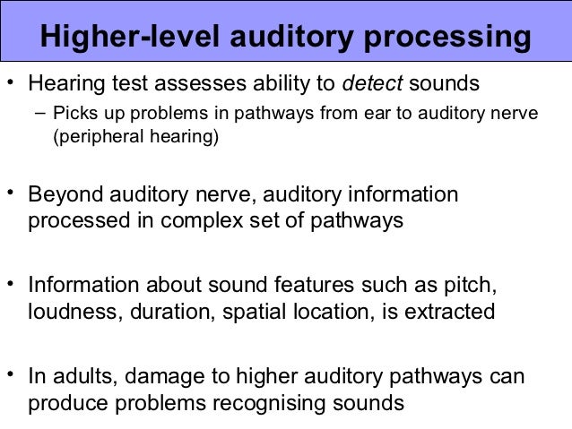 Auditory Processing Adults 106