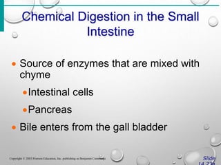 Chemical Digestion in the Small
Intestine
Slide
Copyright © 2003 Pearson Education, Inc. publishing as Benjamin Cummings
 Source of enzymes that are mixed with
chyme
Intestinal cells
Pancreas
 Bile enters from the gall bladder
 