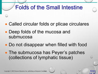 Folds of the Small Intestine
Slide
Copyright © 2003 Pearson Education, Inc. publishing as Benjamin Cummings
 Called circular folds or plicae circulares
 Deep folds of the mucosa and
submucosa
 Do not disappear when filled with food
 The submucosa has Peyer’s patches
(collections of lymphatic tissue)
 