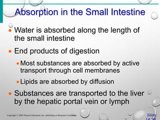 Absorption in the Small Intestine
Slide
Copyright © 2003 Pearson Education, Inc. publishing as Benjamin Cummings
 Water is absorbed along the length of
the small intestine
 End products of digestion
Most substances are absorbed by active
transport through cell membranes
Lipids are absorbed by diffusion
 Substances are transported to the liver
by the hepatic portal vein or lymph
 